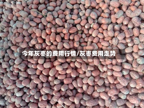 今年灰枣的费用行情/灰枣费用走势
