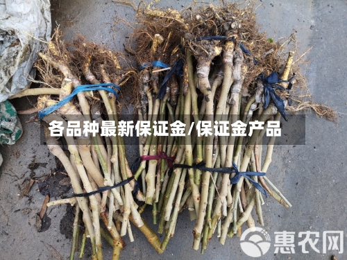 各品种最新保证金/保证金产品-第2张图片