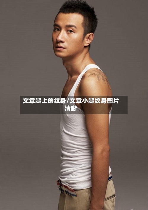 文章腿上的纹身/文章小腿纹身图片清晰