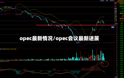 opec最新情况/opec会议最新进展-第2张图片