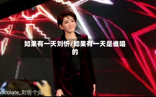 如果有一天刘忻/如果有一天是谁唱的-第1张图片