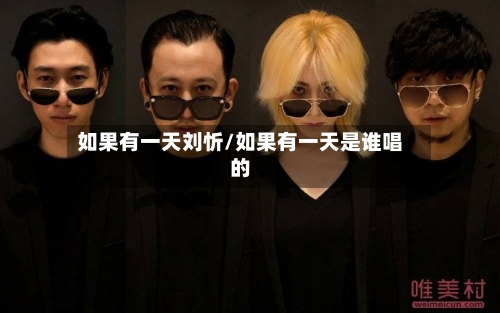 如果有一天刘忻/如果有一天是谁唱的-第3张图片