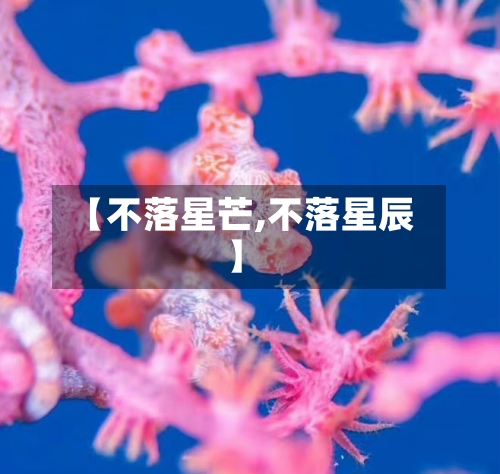 【不落星芒,不落星辰】-第2张图片