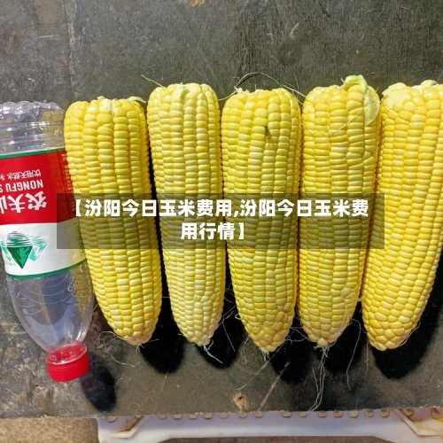 【汾阳今日玉米费用,汾阳今日玉米费用行情】