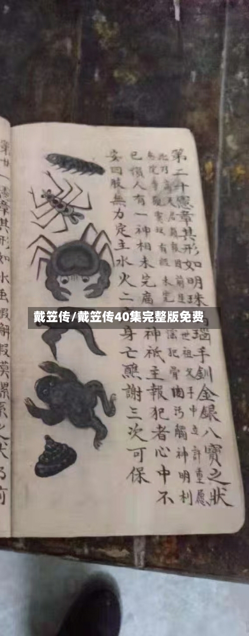 戴笠传/戴笠传40集完整版免费