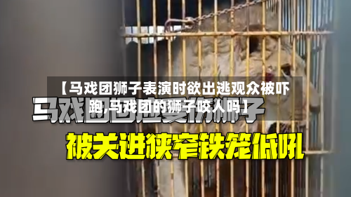 【马戏团狮子表演时欲出逃观众被吓跑,马戏团的狮子咬人吗】