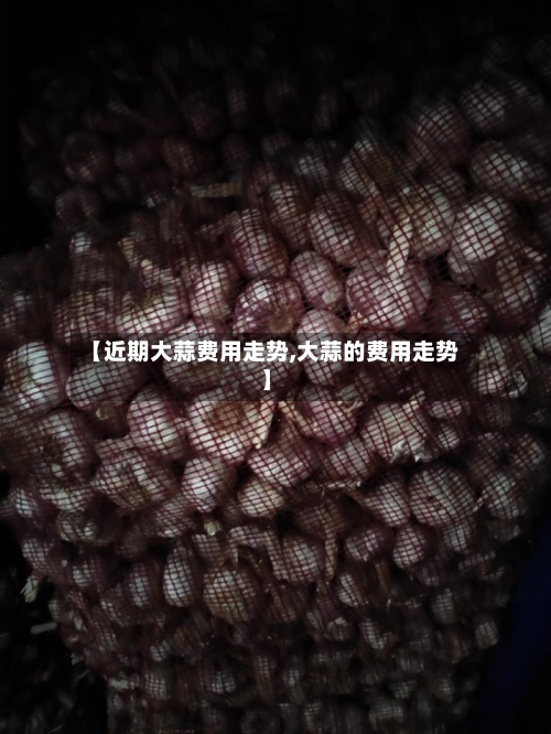 【近期大蒜费用走势,大蒜的费用走势】-第3张图片