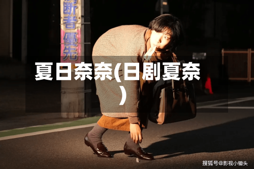 夏日奈奈(日剧夏奈)-第2张图片