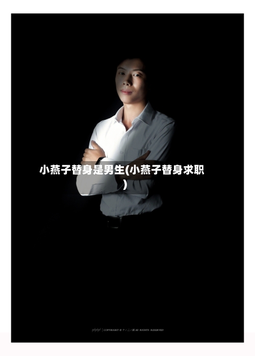 小燕子替身是男生(小燕子替身求职)