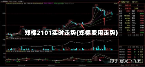 郑棉2101实时走势(郑棉费用走势)-第2张图片