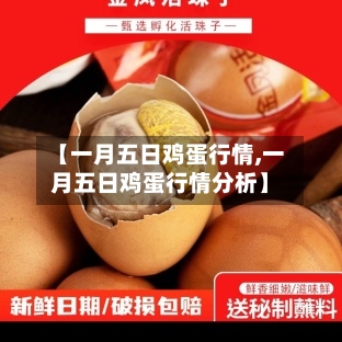 【一月五日鸡蛋行情,一月五日鸡蛋行情分析】