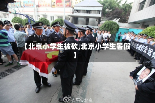【北京小学生被砍,北京小学生暑假】