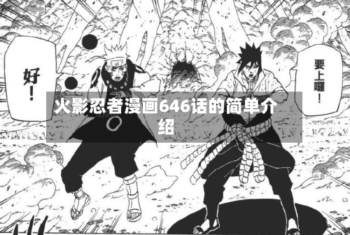 火影忍者漫画646话的简单介绍-第2张图片