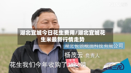 湖北宜城今日花生费用/湖北宜城花生米最新行情走势