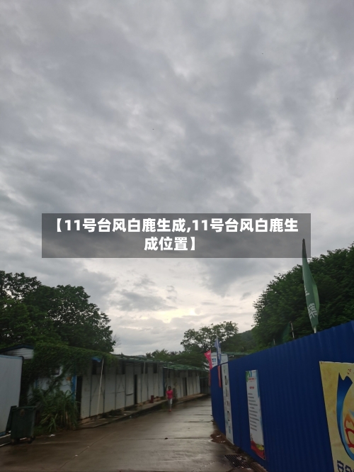 【11号台风白鹿生成,11号台风白鹿生成位置】