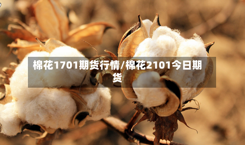 棉花1701期货行情/棉花2101今日期货