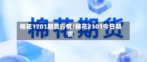 棉花1701期货行情/棉花2101今日期货-第3张图片