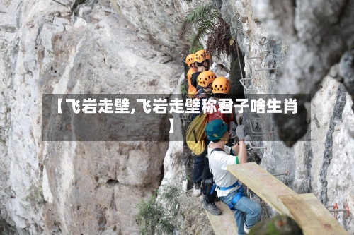 【飞岩走壁,飞岩走壁称君子啥生肖】-第3张图片