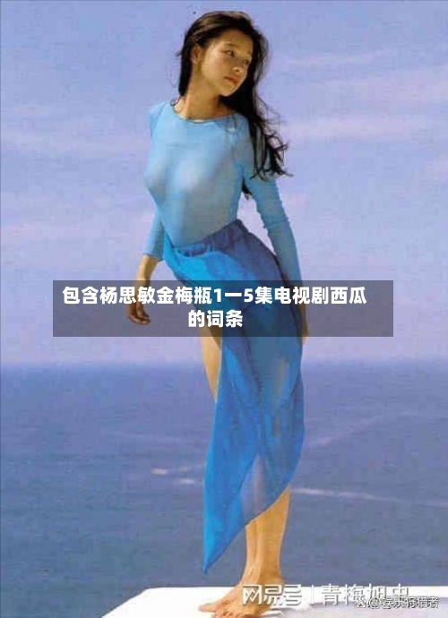 包含杨思敏金梅瓶1一5集电视剧西瓜的词条