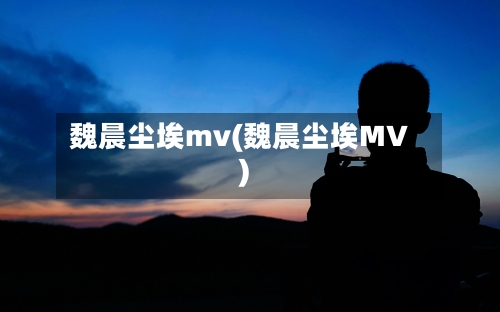 魏晨尘埃mv(魏晨尘埃MV)
