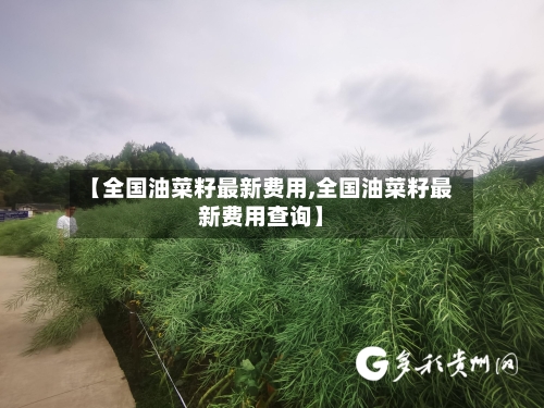 【全国油菜籽最新费用,全国油菜籽最新费用查询】