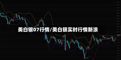 美白银07行情/美白银实时行情新浪-第2张图片