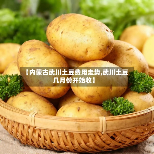 【内蒙古武川土豆费用走势,武川土豆几月份开始收】-第2张图片