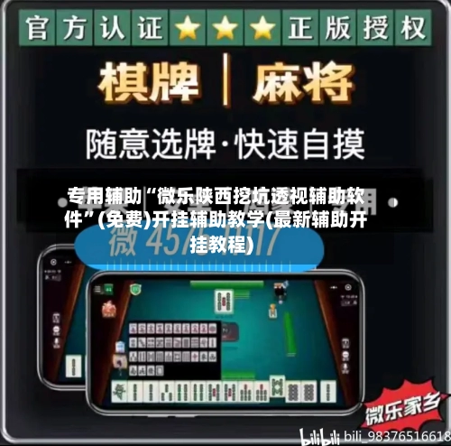 专用辅助“微乐陕西挖坑透视辅助软件”(免费)开挂辅助教学(最新辅助开挂教程)-第3张图片