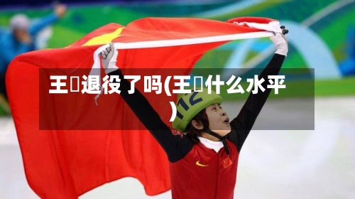 王濛退役了吗(王濛什么水平)-第2张图片