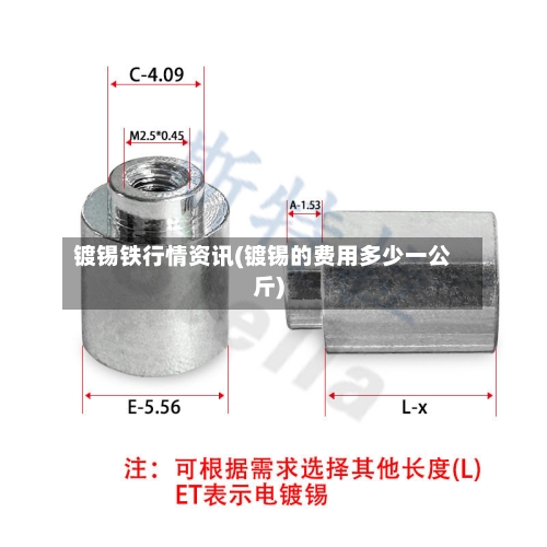 镀锡铁行情资讯(镀锡的费用多少一公斤)