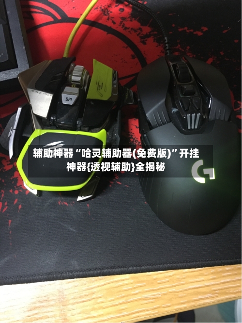 辅助神器“哈灵辅助器(免费版)”开挂神器{透视辅助}全揭秘