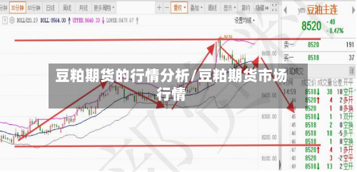 豆粕期货的行情分析/豆粕期货市场行情