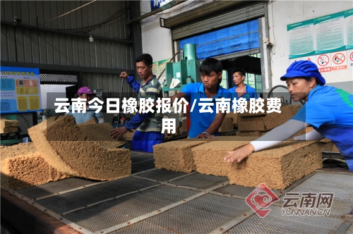 云南今日橡胶报价/云南橡胶费用-第2张图片