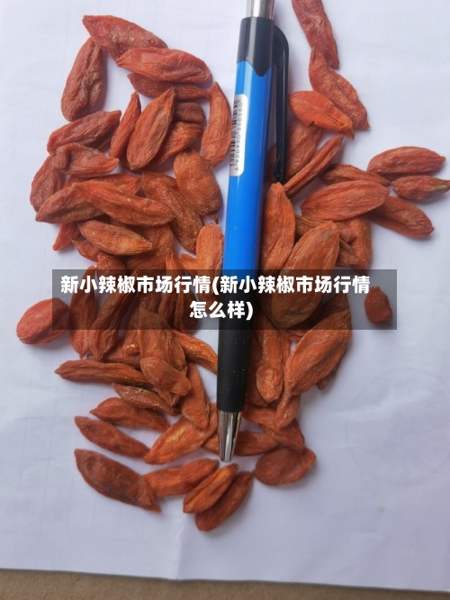 新小辣椒市场行情(新小辣椒市场行情怎么样)-第2张图片