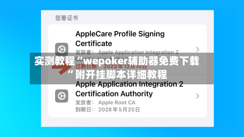实测教程“wepoker辅助器免费下载”附开挂脚本详细教程-第2张图片