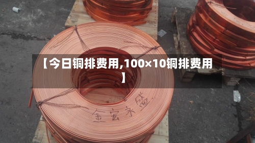 【今日铜排费用,100×10铜排费用】