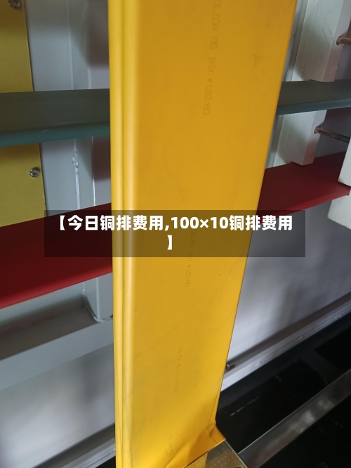 【今日铜排费用,100×10铜排费用】-第3张图片