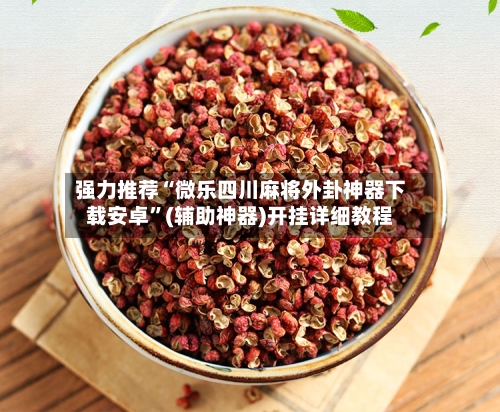 强力推荐“微乐四川麻将外卦神器下载安卓”(辅助神器)开挂详细教程-第3张图片