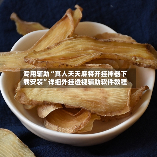 专用辅助“真人天天麻将开挂神器下载安装”详细外挂透视辅助软件教程-第2张图片