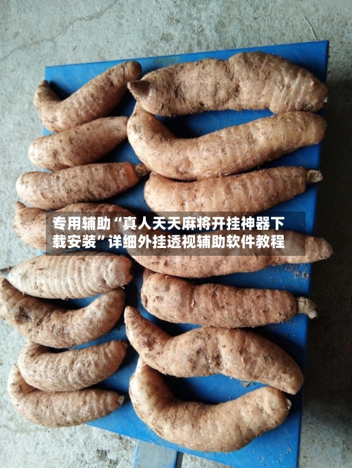 专用辅助“真人天天麻将开挂神器下载安装	”详细外挂透视辅助软件教程-第3张图片