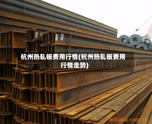 杭州热轧板费用行情(杭州热轧板费用行情走势)