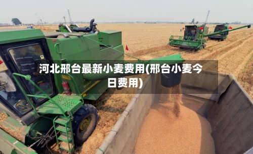 河北邢台最新小麦费用(邢台小麦今日费用)-第2张图片