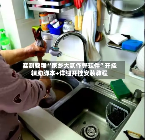 实测教程“家乡大贰作弊软件”开挂辅助脚本+详细开挂安装教程