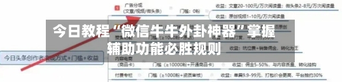 今日教程“微信牛牛外卦神器”掌握辅助功能必胜规则-第3张图片