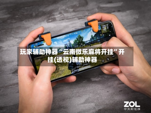 玩家辅助神器“云南微乐麻将开挂”开挂(透视)辅助神器-第3张图片