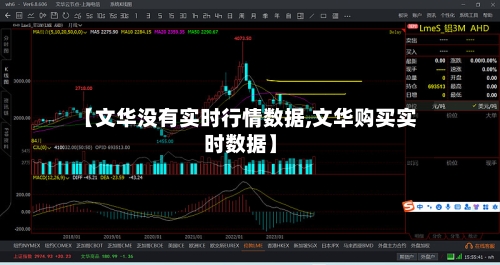 【文华没有实时行情数据,文华购买实时数据】-第2张图片