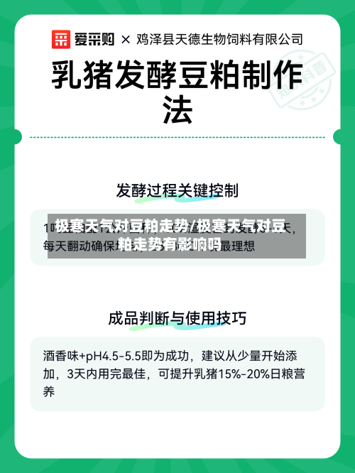 极寒天气对豆粕走势/极寒天气对豆粕走势有影响吗-第2张图片