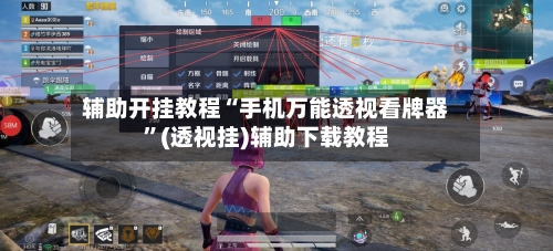 辅助开挂教程“手机万能透视看牌器”(透视挂)辅助下载教程-第3张图片