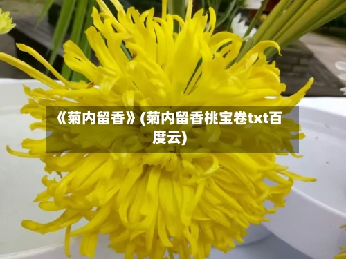《菊内留香》(菊内留香桃宝卷txt百度云)-第2张图片