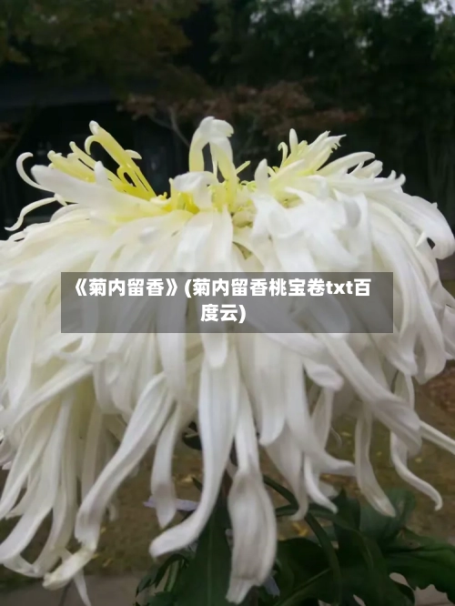 《菊内留香》(菊内留香桃宝卷txt百度云)